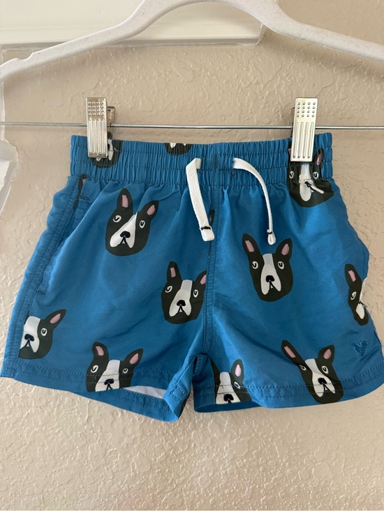 Blue Rooster Collection Other - Blue Rooster Boys Swim Trunks